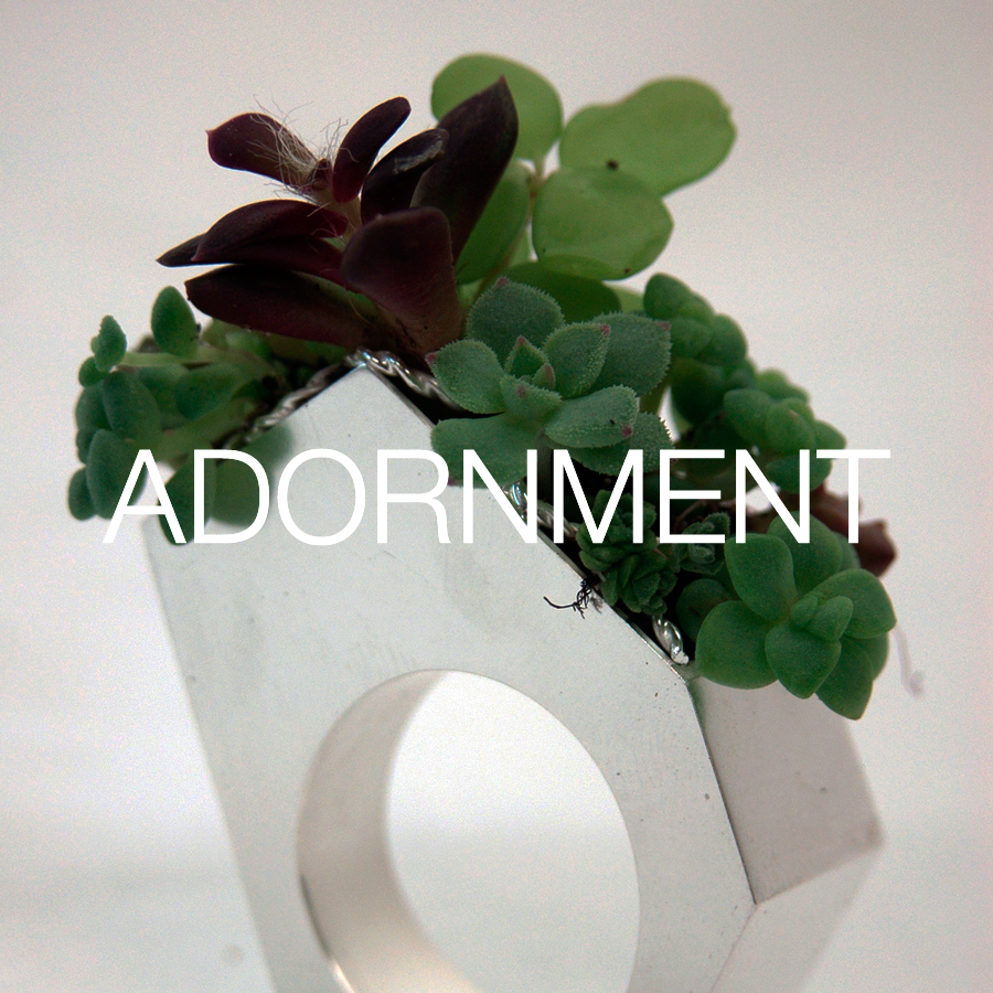 39_Succulent Garden Study I_thumbnail.png